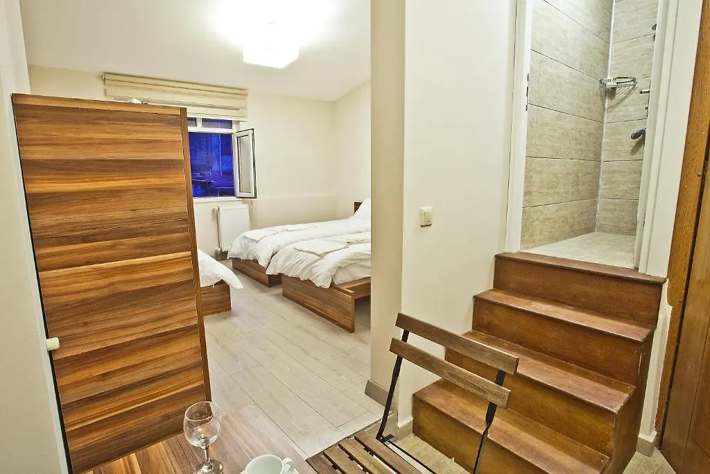 Leon Apartment Estambul 0*,